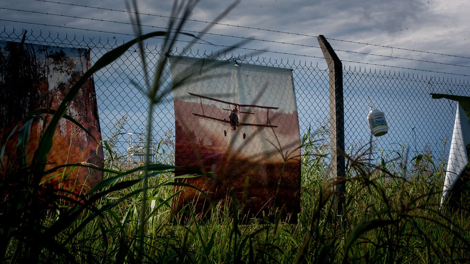 Justicia ratificó ordenanza que prohíbe fumigar a menos de 1000 metros en Exaltación de la Cruz