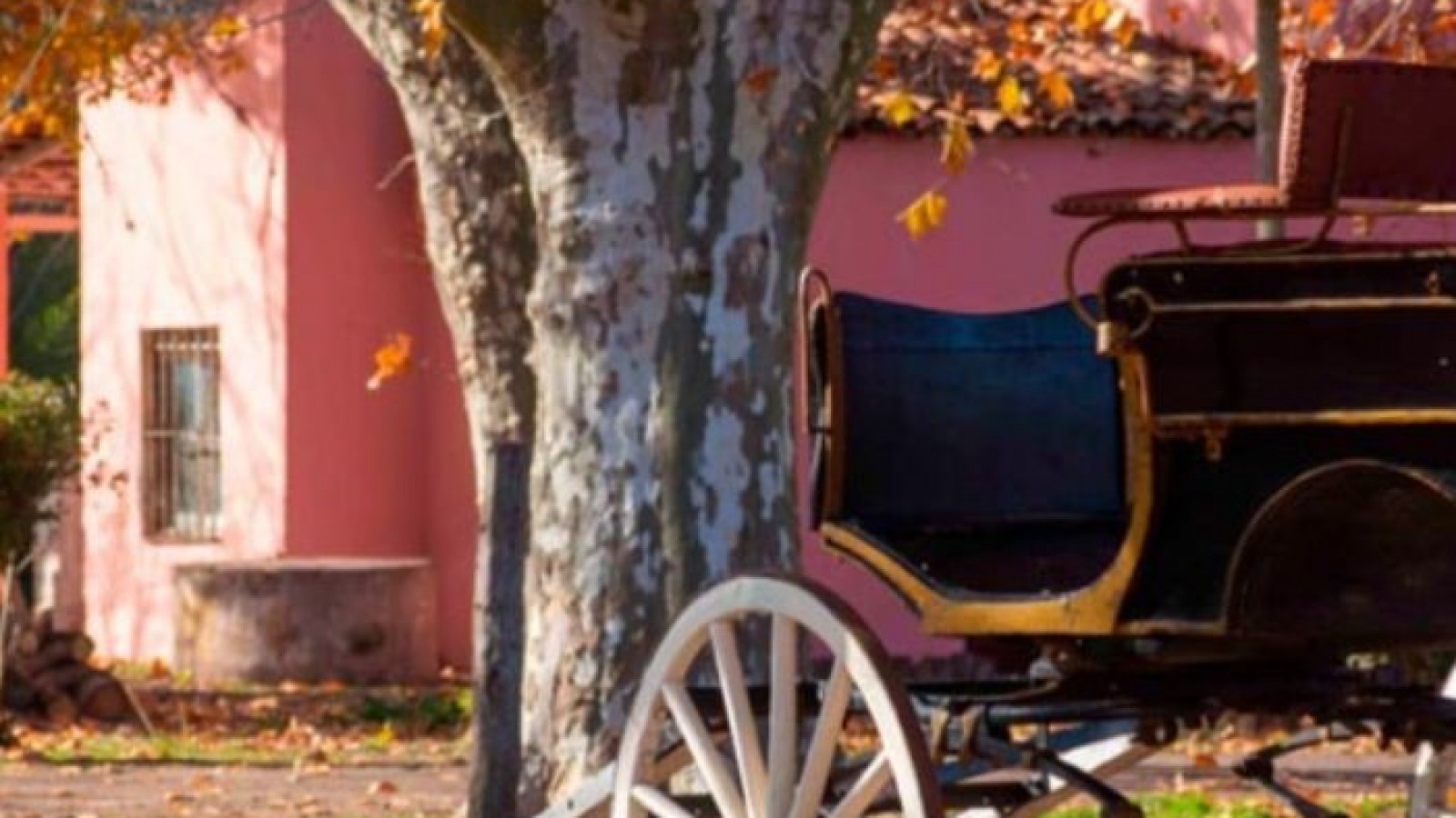 Un lugar con historia: De hospital psiquiátrico a espacio recreativo y gastronómico