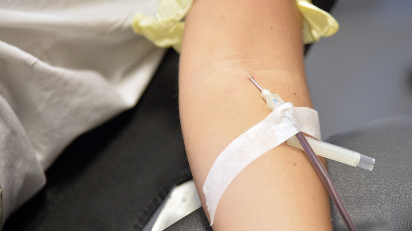 El Municipio de Tigre incentiva la donación de sangre dentro de la comunidad