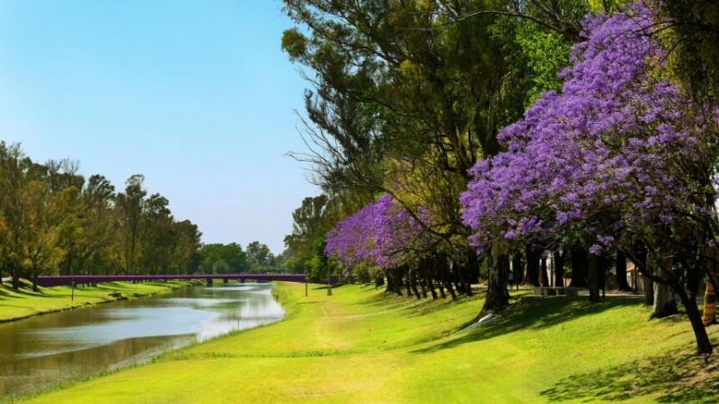 Llega "VIBRA": Pergamino prepara un evento al aire libre para celebrar San Valentín