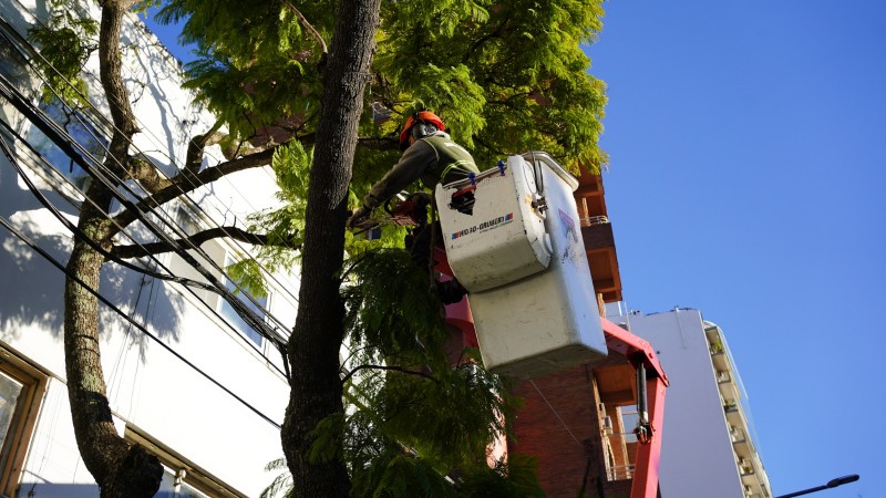 Vicente López: continúa abierta la inscripción al Plan de Poda 2026