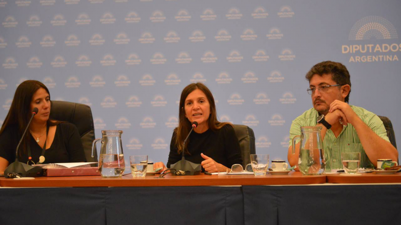 Raverta: "Es urgente que las y los diputados traten la ley de pago de deuda previsional"