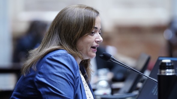 Cecilia Moreau: "Es llamativo que la oposición no quiera debatir temas urgentes como moratoria previsional, monotech y Universidades"