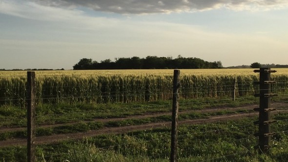 Banco Provincia amplió la asistencia a tasa especial por la emergencia agropecuaria