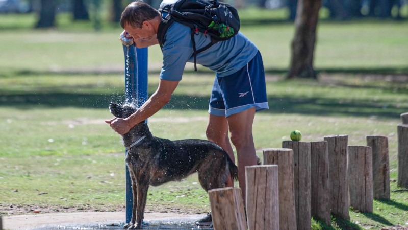 La Provincia emitió recomendaciones frente a la ola de calor extremo