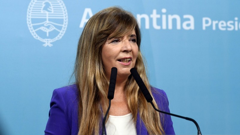 Cerruti dice que "el Gobierno analiza todas las variables legales y posibles" para Edesur