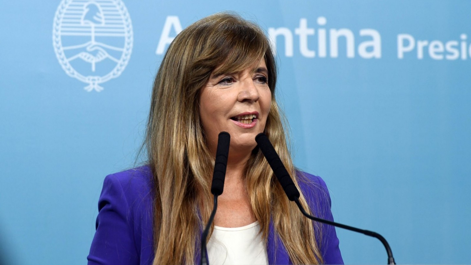 Cerruti dice que "el Gobierno analiza todas las variables legales y posibles" para Edesur