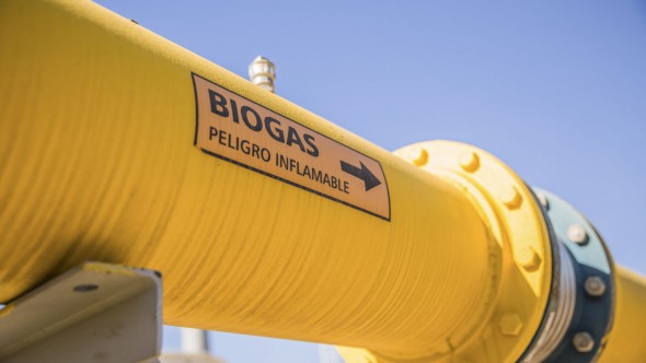 Biogás: una alternativa sustentable para satisfacer la demanda eléctrica a bajo costo