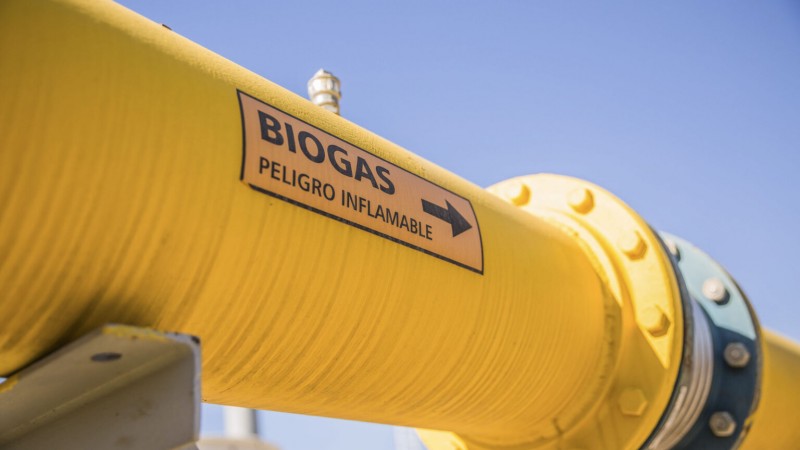 Biogás: una alternativa sustentable para satisfacer la demanda eléctrica a bajo costo