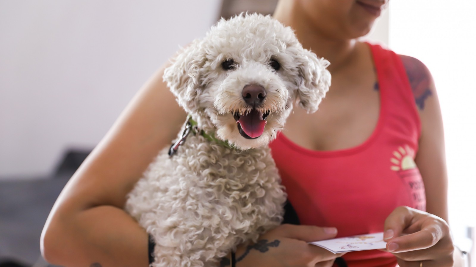 Jornada de castración y vacunación en el Centro de Zoonosis