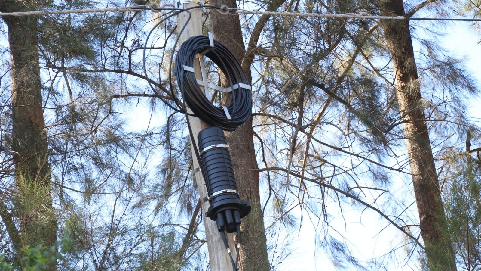 Conectividad: con el tendido ya culminado en Alsina, avanza la red en Baradero