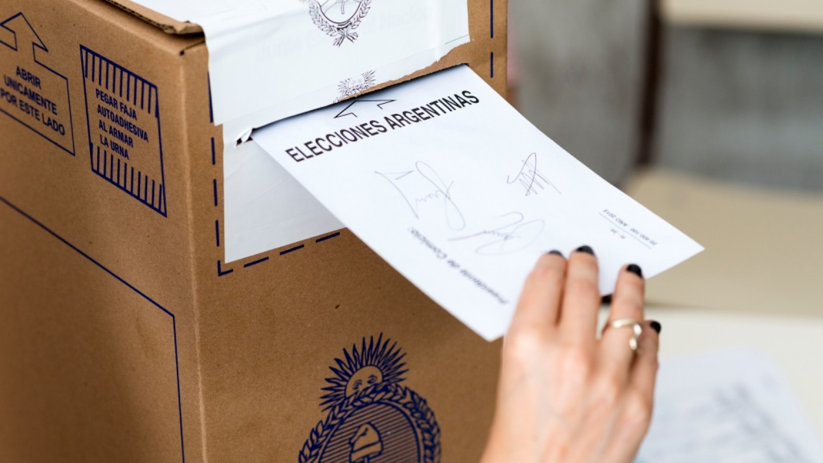 Voto extranjero: Últimos días para consultar el padrón provisorio y actualizar datos