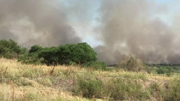 Combaten un incendio de pastizales cerca de Atucha en Zárate: "La situación está bajo control"