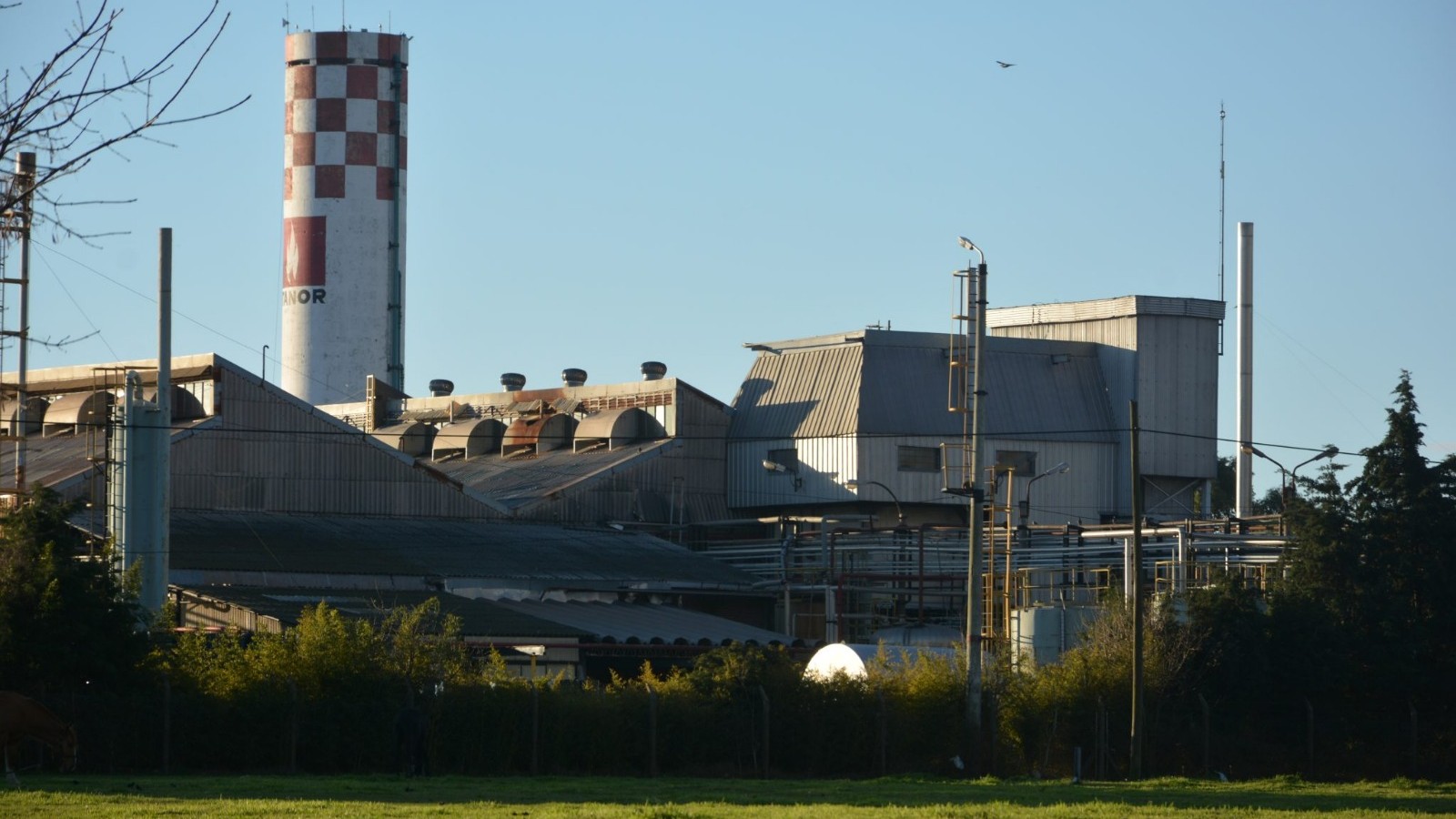 La Justicia hizo lugar a un amparo contra la empresa Atanor de San Nicolás por contaminar el Paraná