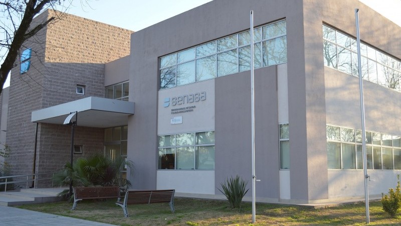 No se registraron nuevos casos de influenza aviar en los dos últimos días, según el Senasa