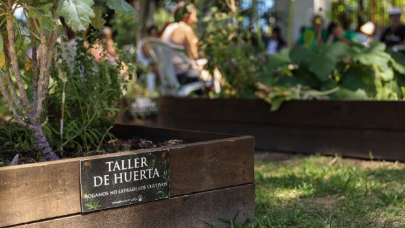 Vicente López incorpora una nueva huerta en la Costa: Tendrá talleres, capacitaciones y espacios comunitarios
