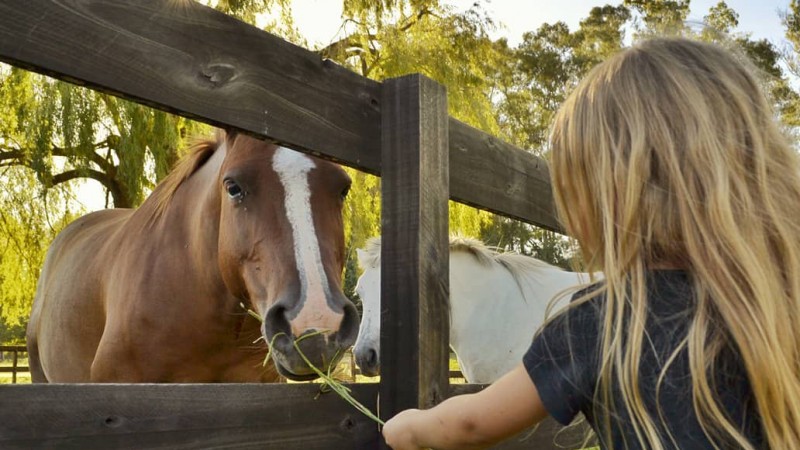 Escapadas bonaerenses: Tres destinos rurales para descubrir en semana santa