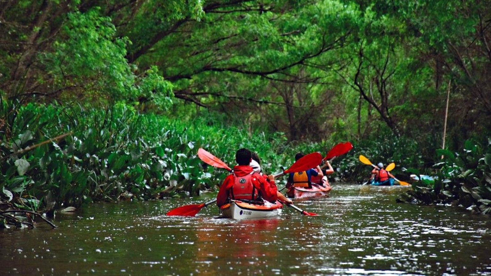 Para ir eligiendo destinos: Comienza la venta de paquetes turísticos del Previaje 4