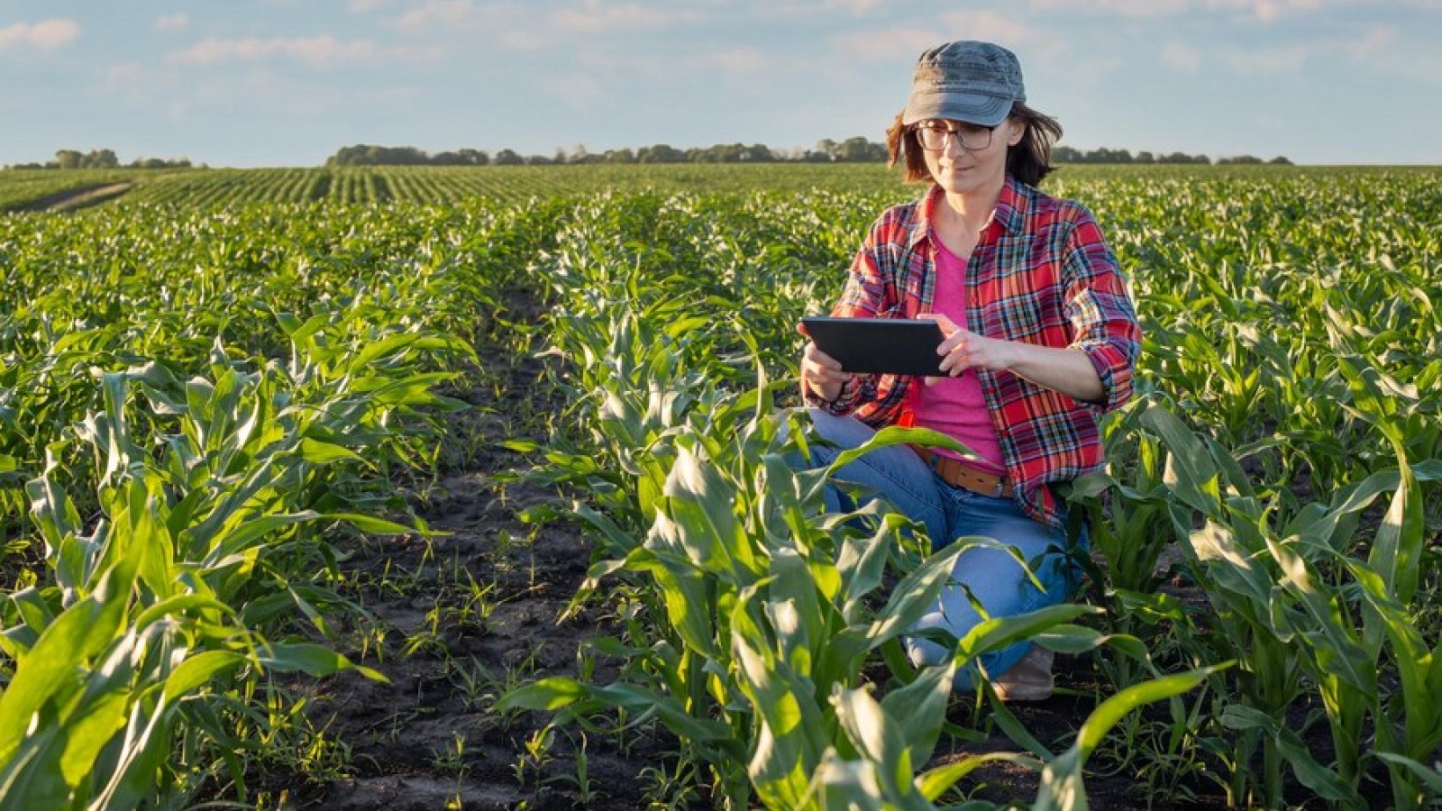 Orbia y AgroPro se aliaron para mejorar la experiencia digital del agro argentino