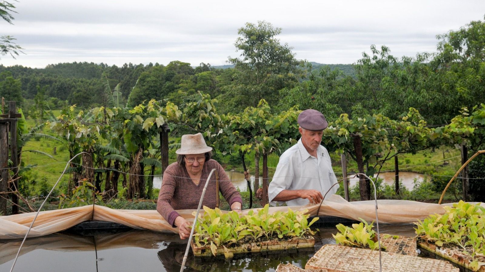 Avanza el Programa de Incremento Exportador que lanzó Massa