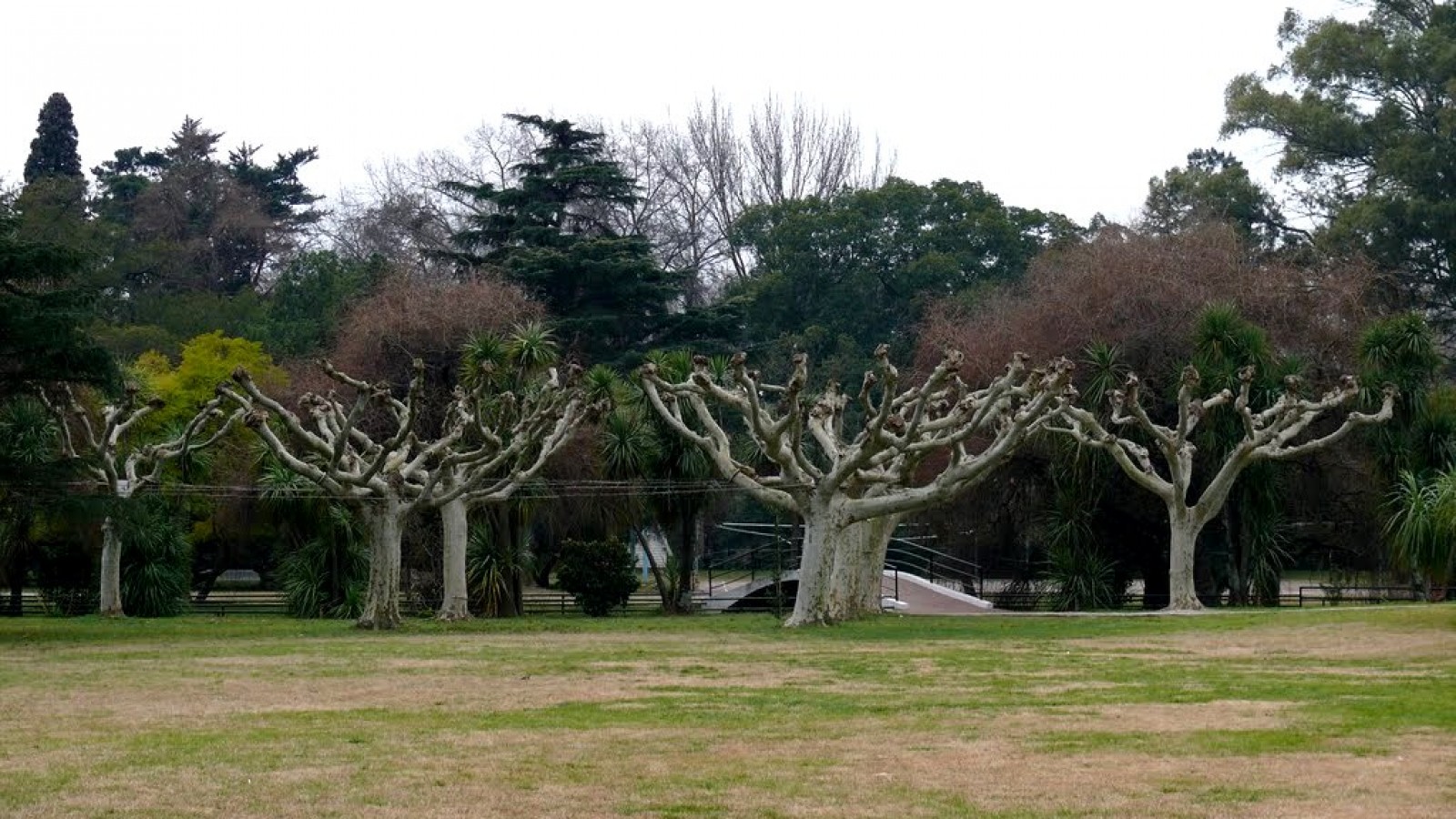 Los vecinos de Tigre recuperaron Ecosol que ahora será considerado un Parque Nacional