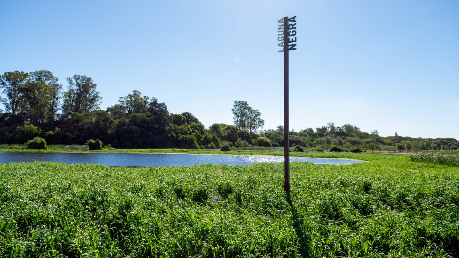 El Eco Parque San Nicolás ya tiene su propia página web
