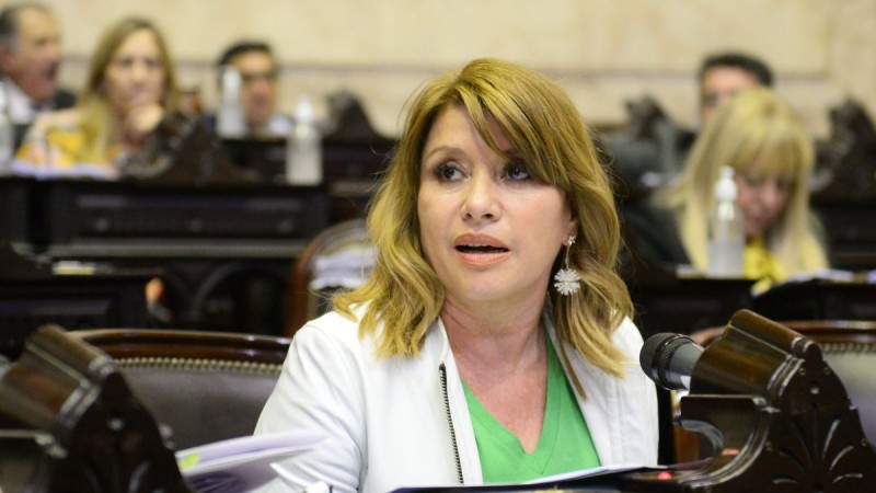 "Massa tiene como objetivo ponerle un freno al abuso en los precios de alimentos", destacó Litza