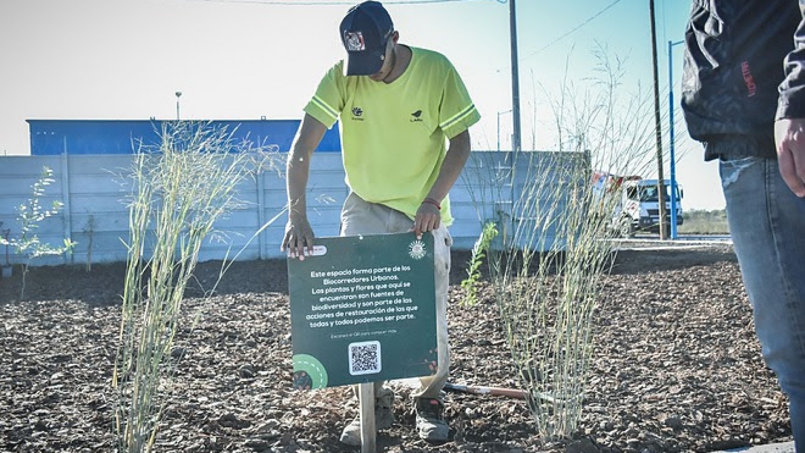 Escobar Sostenible: se plantaron 7.200 árboles nativos de los 10.000 del Plan de Arbolado Urbano "Plantando Conciencia"