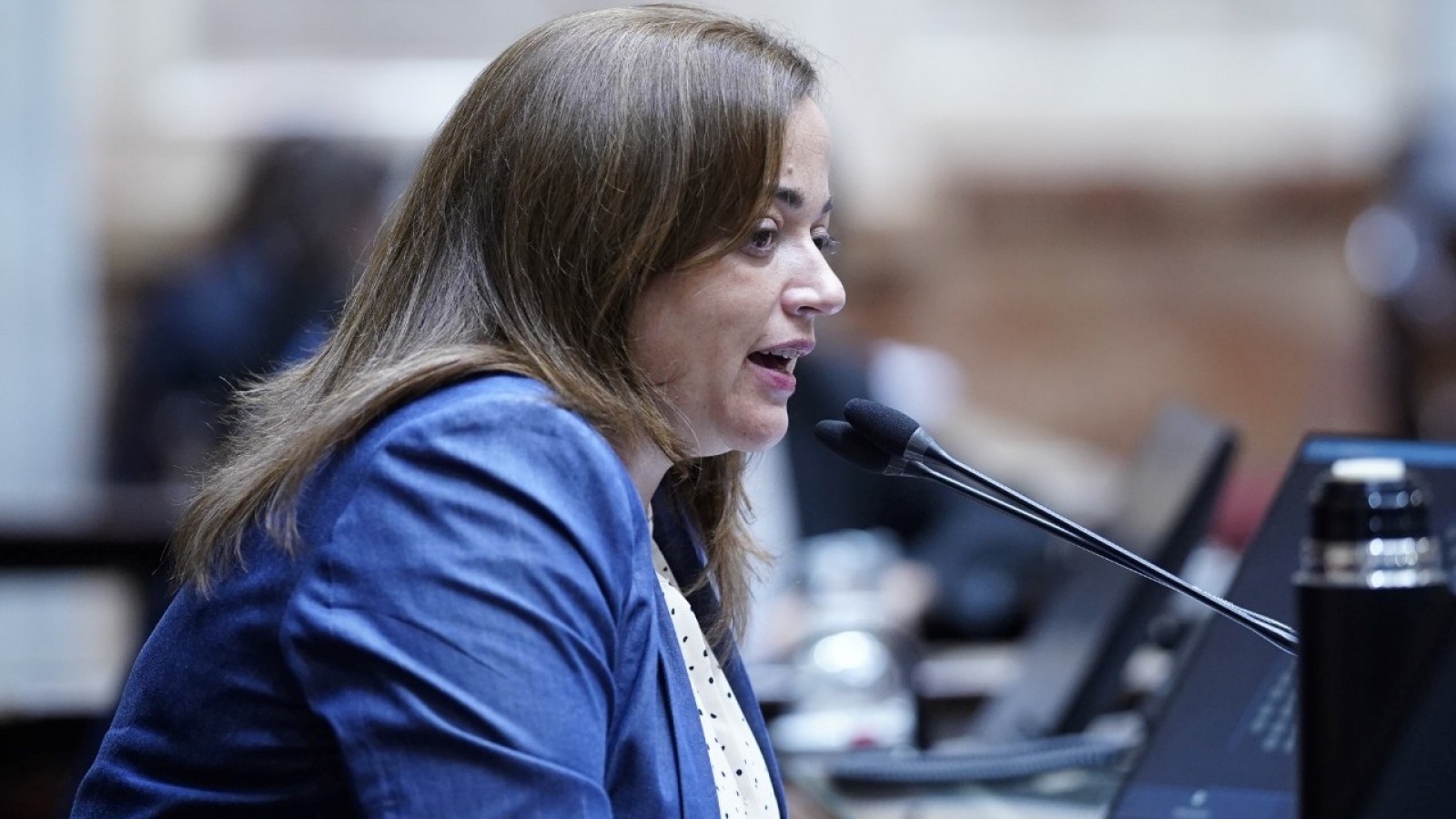 Fuerte crítica de Cecilia Moreau a Tolosa Paz: "Hay funcionarios gestionando y otros de rosca"