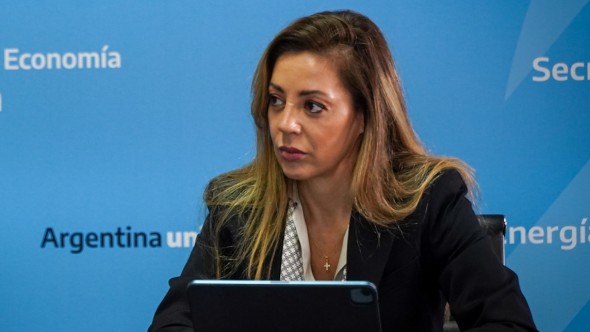 Massa seguirá "trabajando como siempre", aseguró Flavia Royon