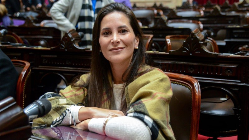 Micaela Moran: "Aerolíneas Argentinas es parte de una decisión de hacer crecer el turismo, lo que propone Milei es privatizar y retroceder"