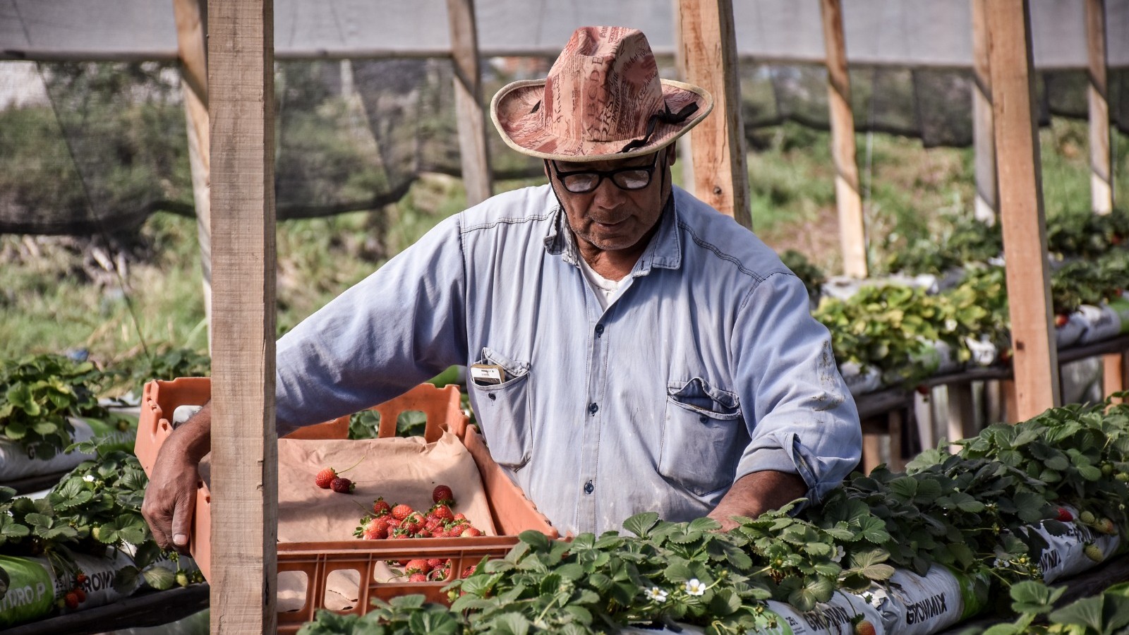 Productores de Escobar recibieron ayuda del Ministerio de Economía por los daños causados durante el temporal de agosto