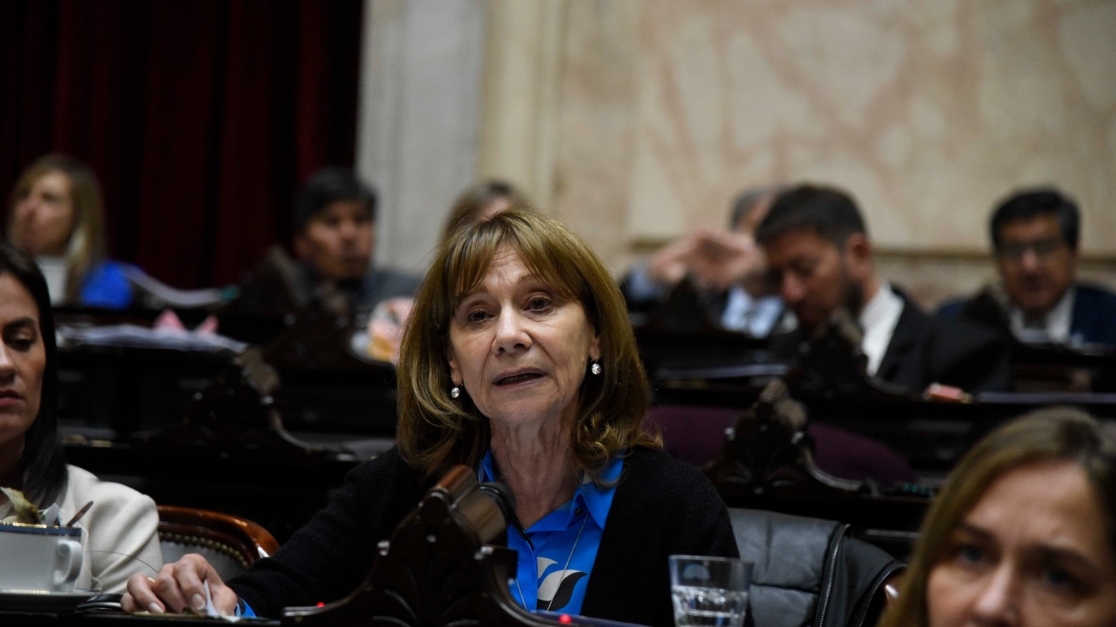 Diputados dio media sanción a la creación de la Universidad del Delta