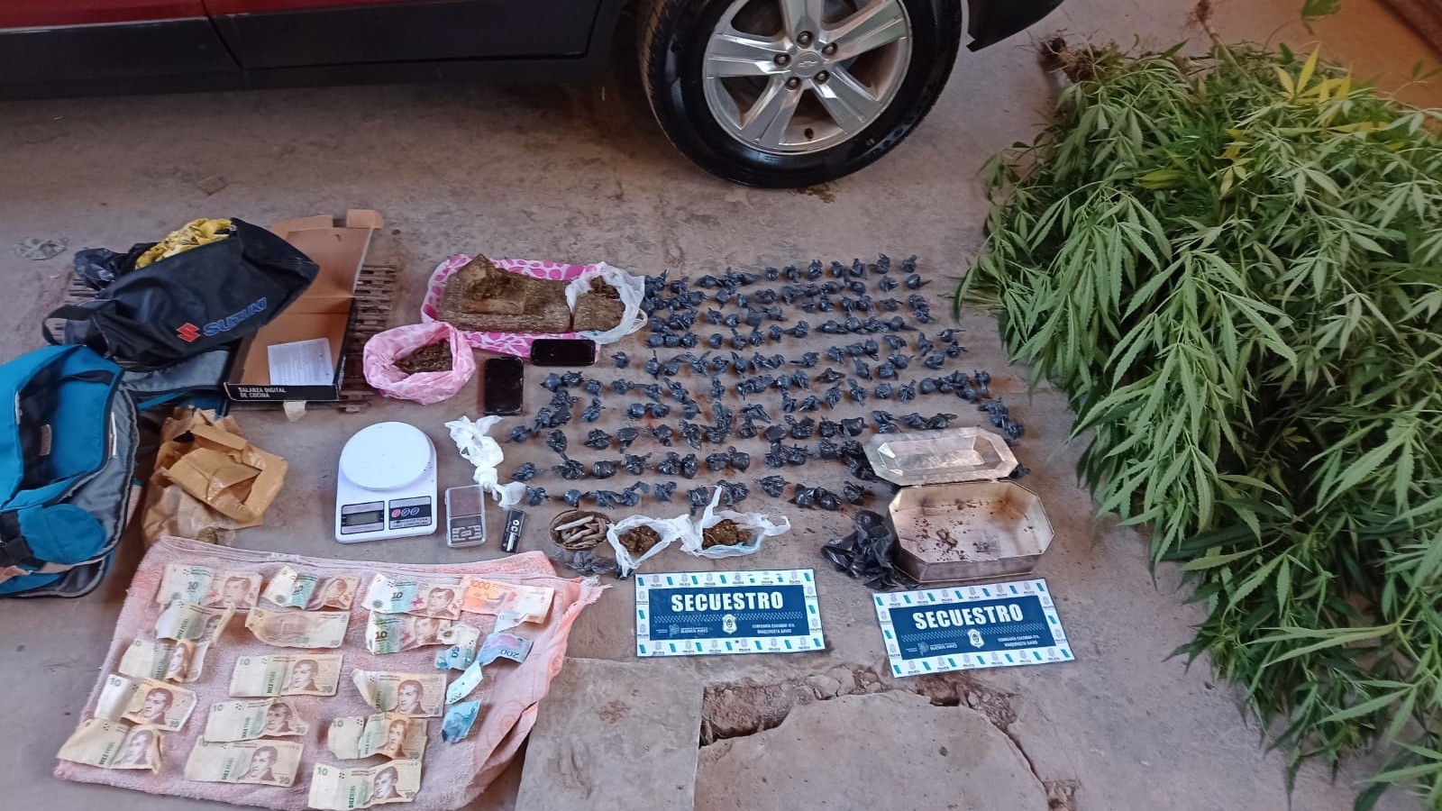 Desbaratan una organización narcocriminal en Maquinista Savio: incautan 200 gramos de cocaína y 1,6 kilos y plantas de marihuana