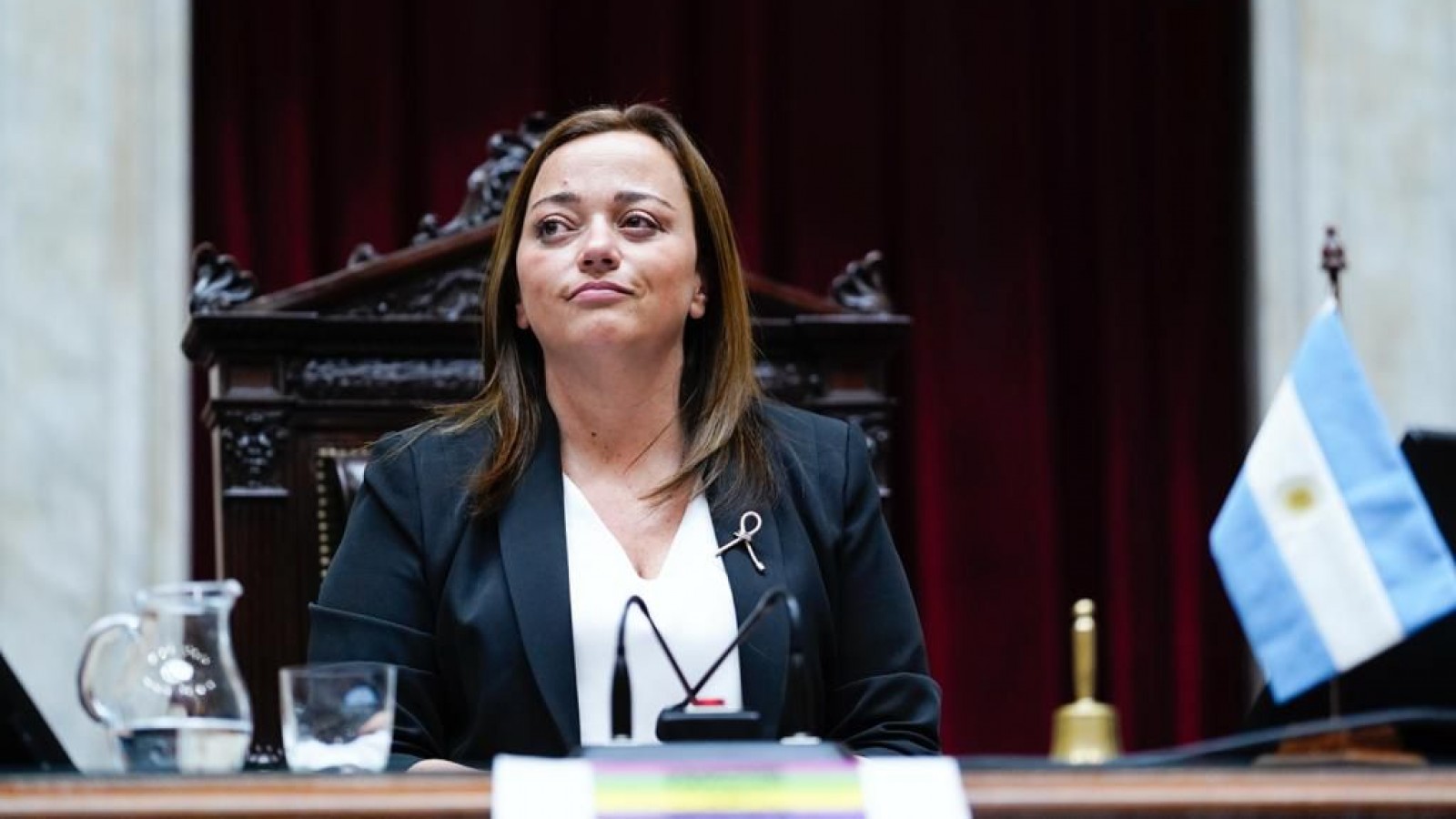 Moreau exhortó a la oposición a dar quórum para tratar el compre sin IVA, alquileres y la creación de universidades