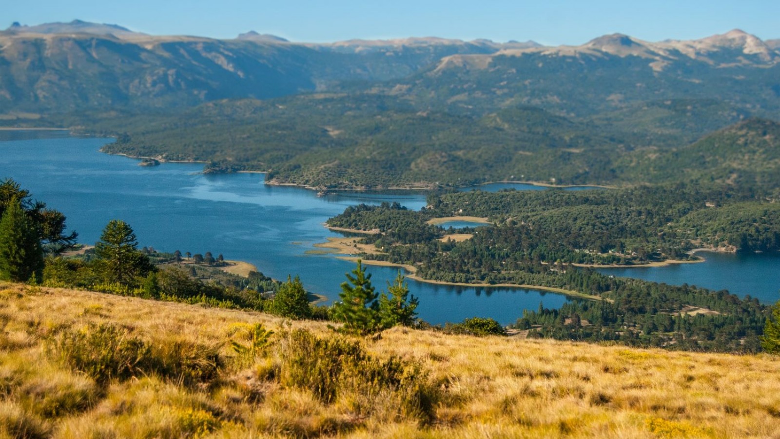 Valles frutales, siete lagos, montañas y bosques invitan a recorrer Neuquén y Río Negro