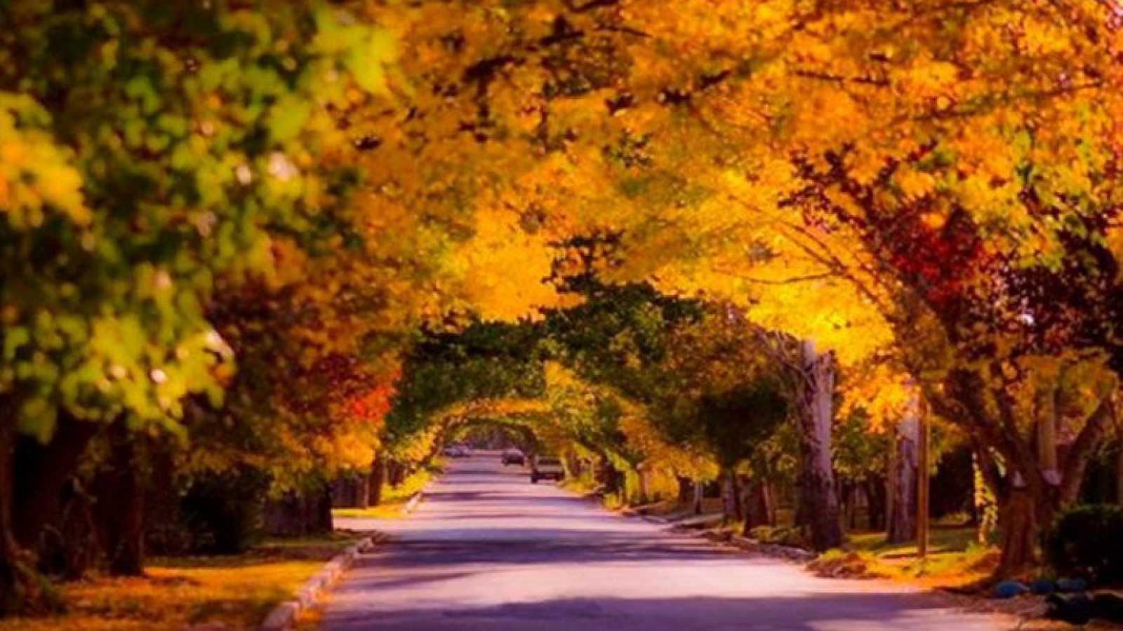 Grupo empresario invierte más de US$ 8 millones para abrir un "hotel boutique" en Mendoza