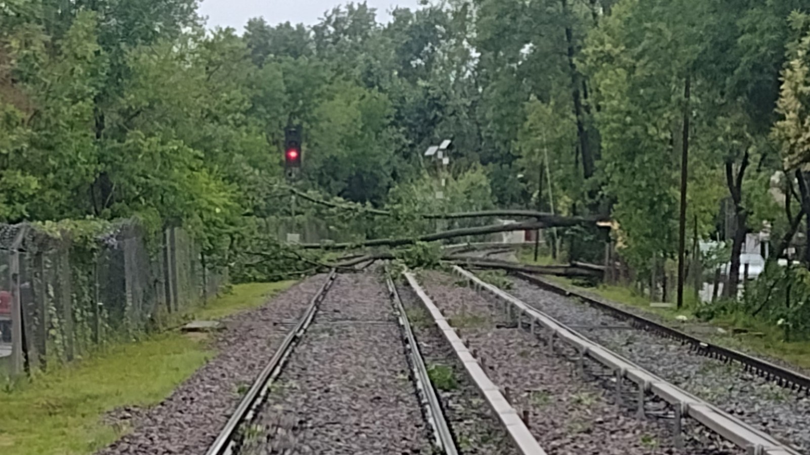Los trenes urbanos también fueron afectados por el temporal