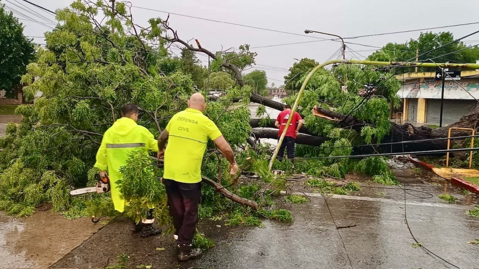 Intenso trabajo del Municipio de Campana para normalizar la ciudad tras el extremo temporal
