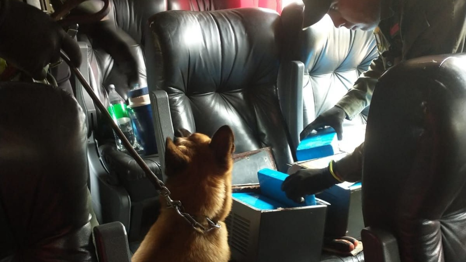 Operativo "Colectivo lleno": Desarticulación de intento de traslado de sustancias ilícitas hacia Buenos Aires