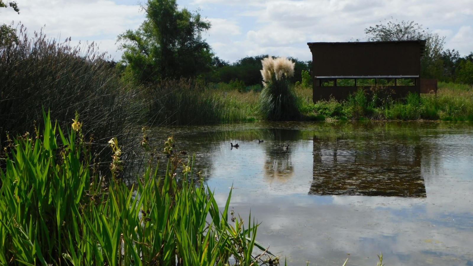 San Miguel reabre las puertas de la Reserva Natural Urbana "El Corredor"