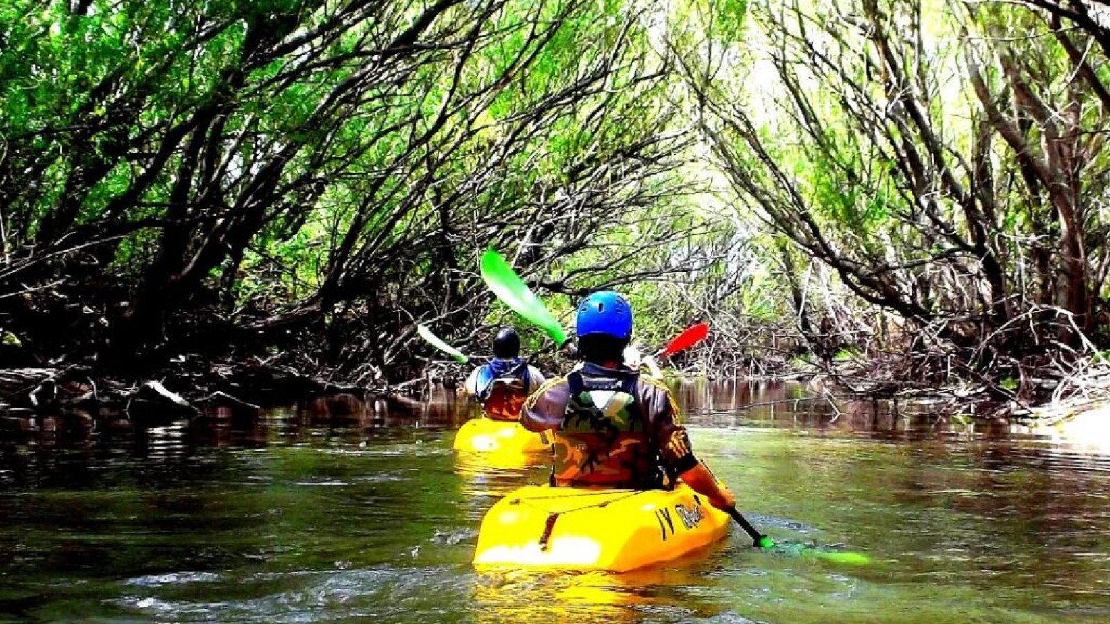 Una isla de biodiversidad: Aventura y naturaleza para disfrutar a pleno del fin de semana extralargo en las sierras de la provincia de Buenos Aires
