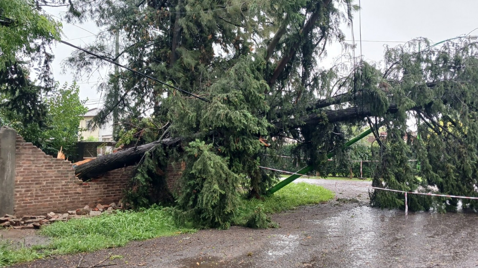 EDEN trabaja incansablemente para reponer la red de Campana dañada por la tormenta