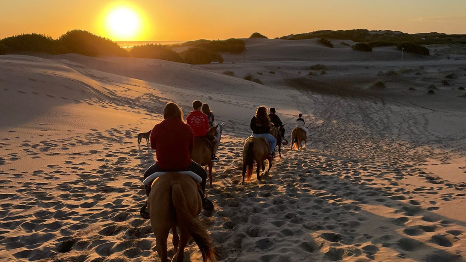 Un atardecer de cabalgatas en las playas y senderos asombrosos en la provincia de Buenos Aires