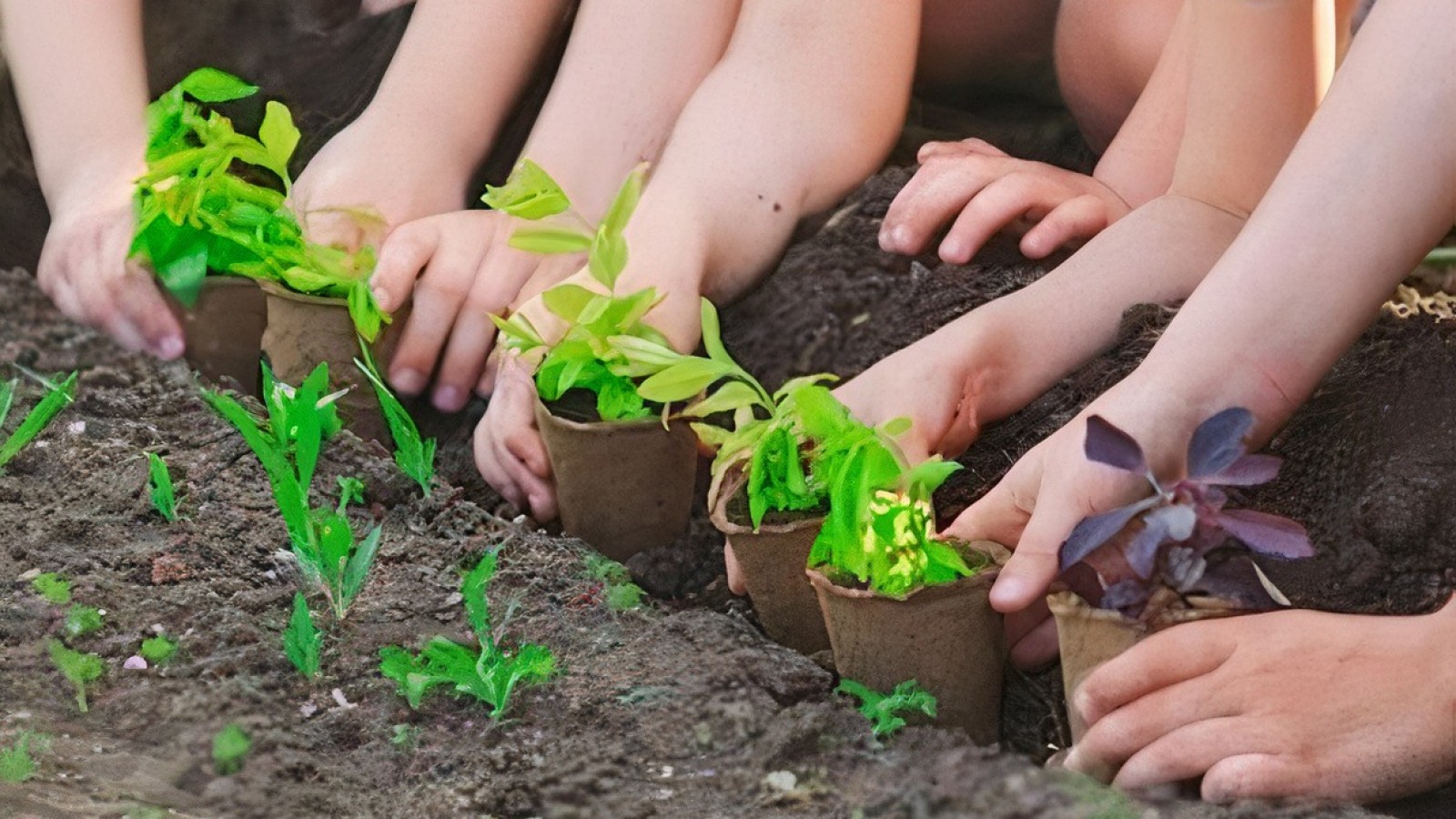 Este sábado llega "La Hora del Planeta" a Vicente López: toda la información