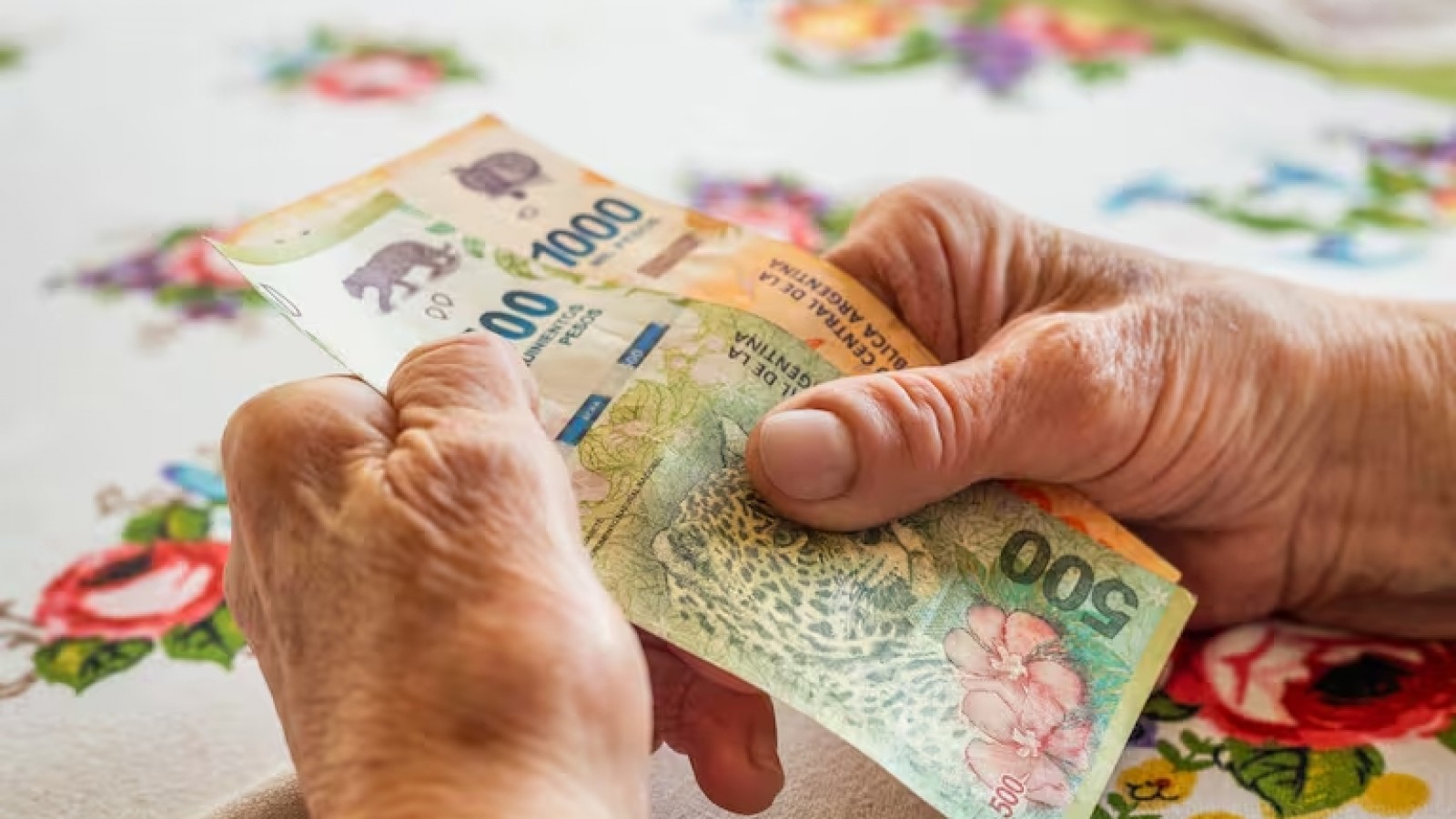 Las jubilaciones perdieron hasta un 47% de su poder de compra en un año