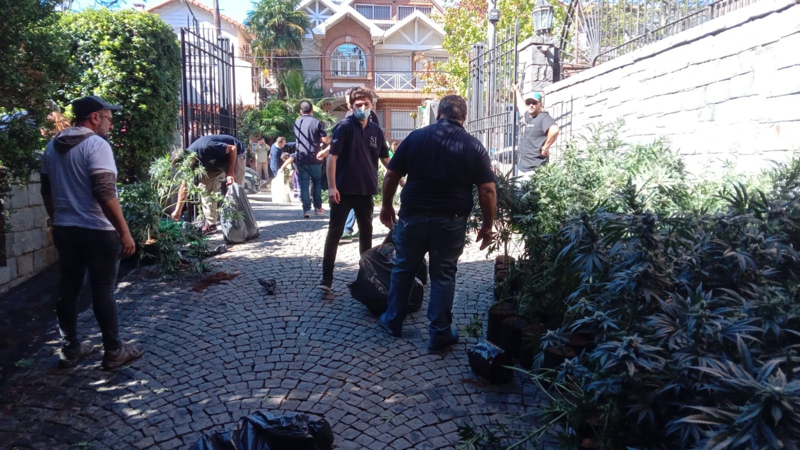 San Isidro: la empresa Superfly Cannabis Medicinal no estaba habilitada por el Ministerio de Salud