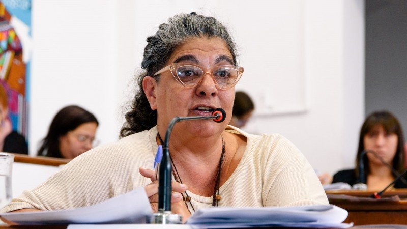 Celia Sarmiento: "Al municipio de San Isidro se lo ve como en stand by y se nota en la gestión diaria"