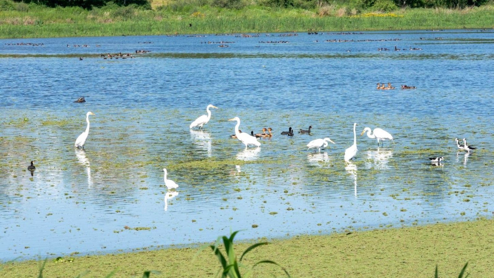 Eco Parque San Nicolás: El fin de semana solo se permitirá el acceso a peatones y bicicletas