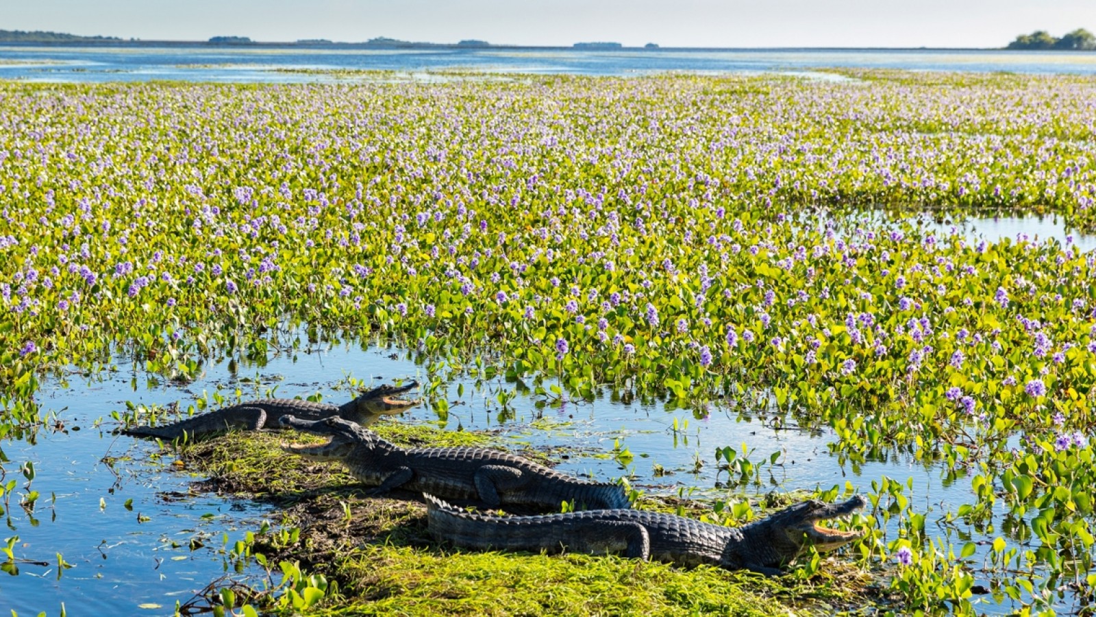 Un destino de la Argentina fue seleccionado entre los mejores 30 del mundo para hacer turismo en 2024